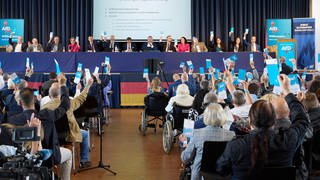 Auf dem Parteitag der AfD in Simmern wurde Jan Bollinger als rheinland-pfälzischer Parteichef bestätigt.