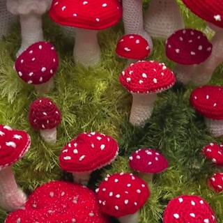 Gehäkelte Pilze sind Teil der "Naturwunder"-Ausstellung in Landau.
