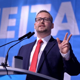 Sebastian Münzenmaier (AfD) ist seit 2017 im Bundestag - und dort seit 2023 stellvertretender Fraktionsvorsitzender der AfD-Fraktion