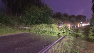 Auf der B407 zwischen Kell am See und Reinsfeld stürzte ein Baum auf die Fahrbahn. Am Samstagabend waren schwere Gewitter über Rheinland-Pfalz gezogen.