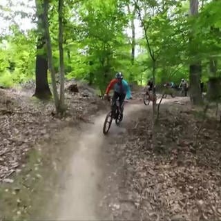 Biker auf einem Trail im Wald