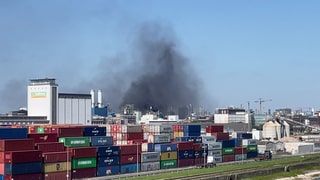 Rauchwolke steigt nach Explosion bei BASF in Ludwigshafen empor
