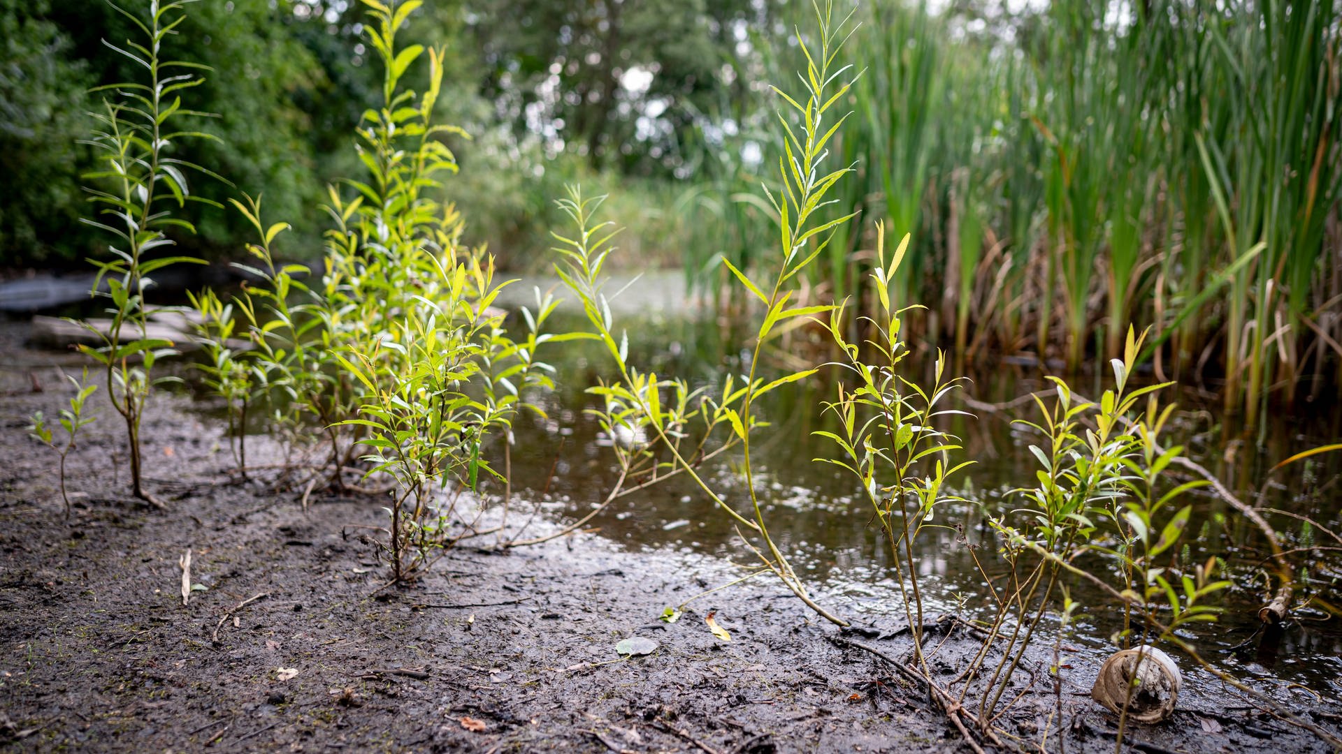 Grundwasser in RLP - so ist die Situation