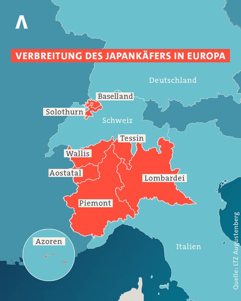 Der Japankäfer lebt seit Jahren in Europa, vor allem auf den Azoren, in Norditalien und in der Schweiz - dort jedoch auch sehr nahe zur deutschen Grenze.