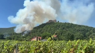 Ein Waldbrand bedroht das Hambacher Schloss