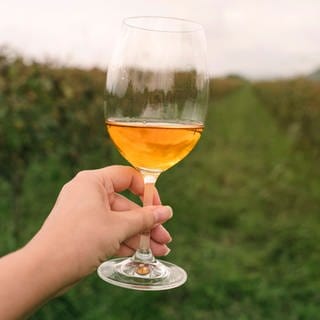 Hand hält Weinglas. Das Landesuntersuchungsamt in Koblenz beanstandet 2023 rund 7,2 Prozent der Weine.