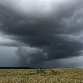 Der Deutsche Wetterdienst sagt für Rheinland-Pfalz teils heftige Gewitter vorher.