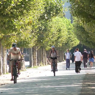 Mainzer Rheinpromenade