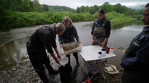 Dieses Team aus vier jungen Wissenschaftlerinnen kommt regelmäßig hierher. Sie untersuchen das Leben im Flussbett der Ahr. Mit dem Kescher fangen sie kleine wirbellose Tiere wie Würmer, Schnecken und Insektenlarven