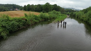 Vor der Flut war die Ahr bekannt für ihre reiche Artenvielfalt. Ein Team der Hochschule Trier untersucht, wie sich die Arten derzeit entwickeln.