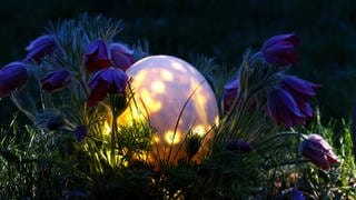 Gartenbeleuchtung - schön für die Stimmung, schlecht für Insekten und Vögel