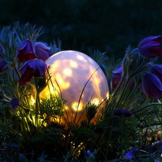 Gartenbeleuchtung - schön für die Stimmung, schlecht für Insekten und Vögel