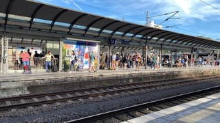 Der Zugverkehr im Rhein-Main-Gebiet läuft nach einer technischen Störung der Deutschen Bahn wieder an.