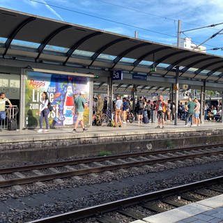 Der Zugverkehr im Rhein-Main-Gebiet läuft nach einer technischen Störung der Deutschen Bahn wieder an.