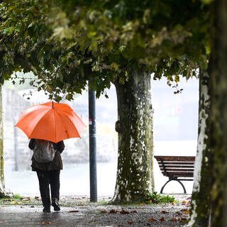 Eine Frau mit Regenschirm geht an der Uferpromenade entlang, während es in Strömen regnet.