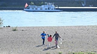 Am Rhein und an weiteren Flüssen in Rheinland-Pfalz wurde am 14. September 2024 Müll gesammelt. Mit der Aktion "RhineCleanUp" wurde deutschlandweit auf die Verschmutzung von Flüssen aufmerksam gemacht.