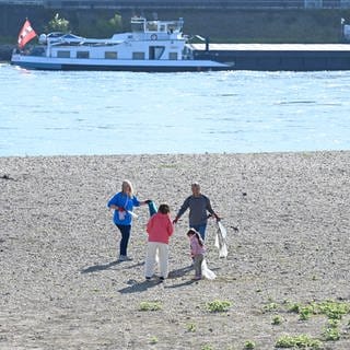 Am Rhein und an weiteren Flüssen in Rheinland-Pfalz wurde am 14. September 2024 Müll gesammelt. Mit der Aktion "RhineCleanUp" wurde deutschlandweit auf die Verschmutzung von Flüssen aufmerksam gemacht.