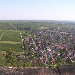 Ausblick in die Südfpfalz von der Burg Landeck bei Klingenmünster