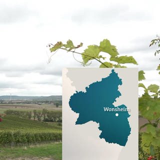 Rheinland-Pfalz Wetter vom 23.9.2024