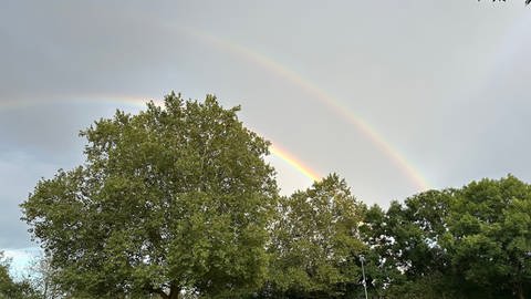 Regenbogen in Neuwied