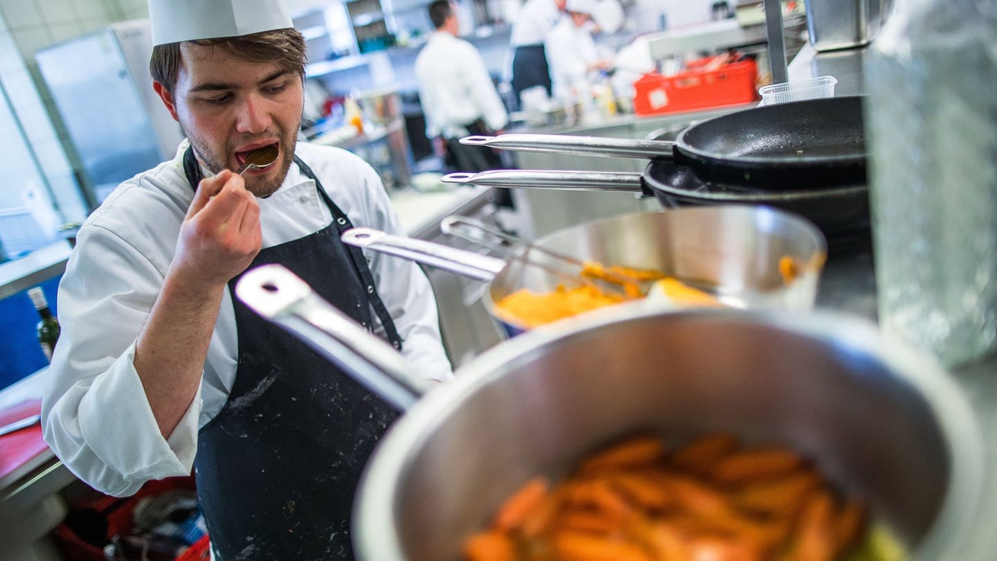 Nachwuchskoch bei der Ausbildung. Mehr Ausbildungsverträge bei Industrie und Handel in RLP