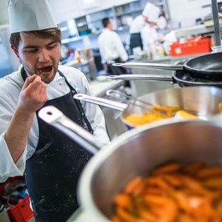 Nachwuchskoch bei der Ausbildung. Mehr Ausbildungsverträge bei Industrie und Handel in RLP