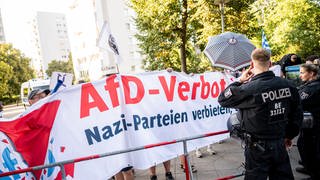 So stehen die Parteien in RLP zu einem möglichen AfD-Verbotsverfahren