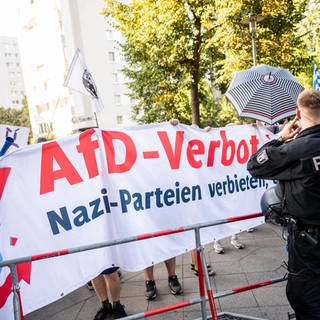 So stehen die Parteien in RLP zu einem möglichen AfD-Verbotsverfahren