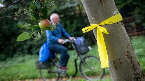 Gelbe Bänder markieren Obstbäume, an denen man sich bedienen darf.