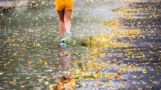 In Rheinland-Pfalz wird es ab Montag sehr mild und regnerisch. Am Donnerstag könnte es stürmisch werden.