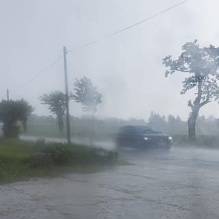 Das Wetter in Rheinland-Pfalz wird ungemütlich: Erst viel Regen, dann zieht Sturmtief "Kirk" über das Land. Der DWD hat eine Unwetterwarnung herausgegeben.