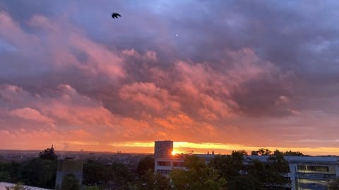 Sonnenaufgang über Mainz am 9. Oktober