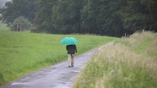 Sturmtief "Kirk" hat in Rheinland-Pfalz für viel Niederschlag und starke Böen gesorgt. Bis zum Wochenende wird es aber wieder freundlicher.