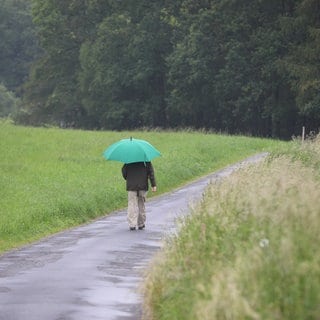 Sturmtief "Kirk" hat in Rheinland-Pfalz für viel Niederschlag und starke Böen gesorgt. Bis zum Wochenende wird es aber wieder freundlicher.