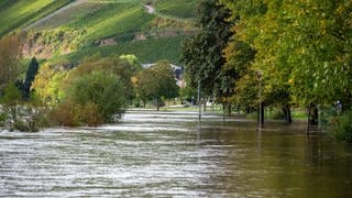 Die über die Ufer getretene Mosel bei Ürzig