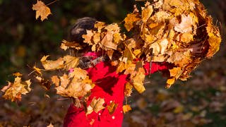 Ein Kinde spielt mit Herbstlaub (Sujetbild)