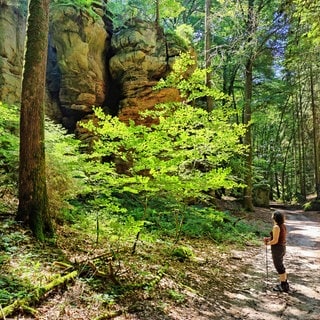 In der Südeifel erwartet Spaziergänger und Wanderer eine bizarrer Felsenlandschaft aus Buntsandstein.