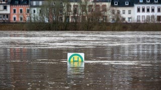 Hochwasser in Trier-Zurlauben an der Mosel