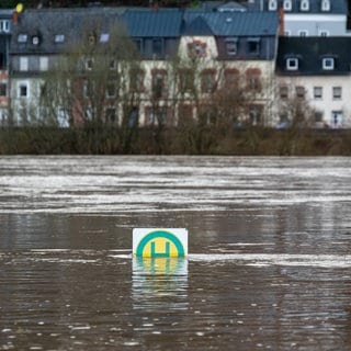 Hochwasser in Trier-Zurlauben an der Mosel