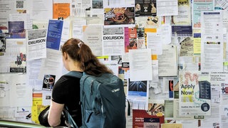 Auf der Suche nach einer Wohnungsanzeige - Studentin der Gutenberg-Uni Mainz vor dem Schwarzen Brett