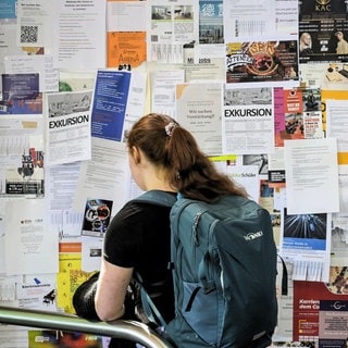 Auf der Suche nach einer Wohnungsanzeige - Studentin der Gutenberg-Uni Mainz vor dem Schwarzen Brett