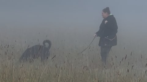 Hund und Frauchen im Herbst