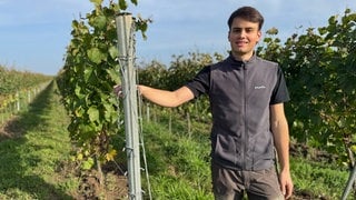 Lukas Metz in seinem Weingut in Meckenheim.