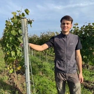 Lukas Metz in seinem Weingut in Meckenheim.