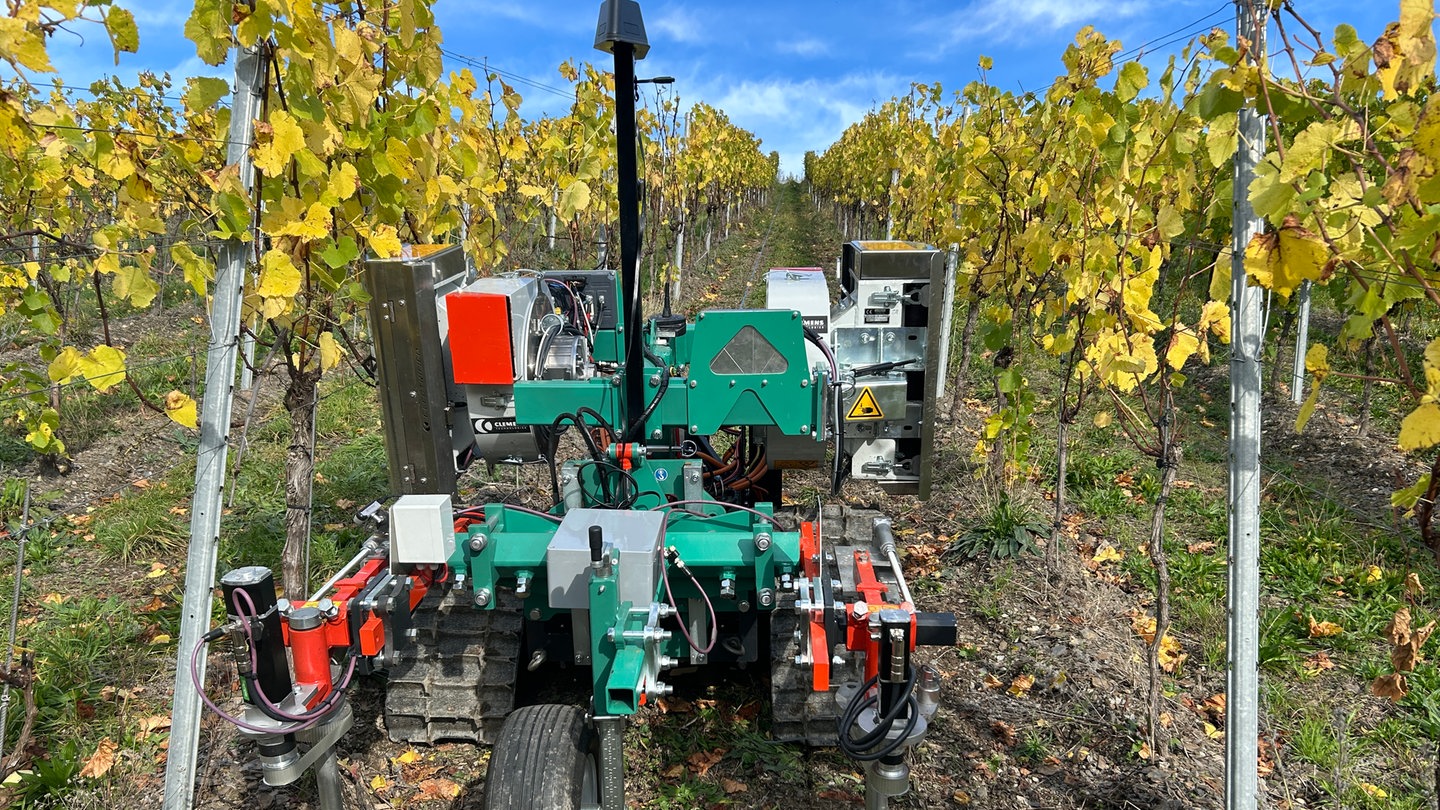 Dieser von Künstlicher Intelligenz gesteuerte Robotor soll in naher Zukunft die mühselige und gefährliche Arbeit im Steillagen-Weinbau an der Mosel erleichtern.