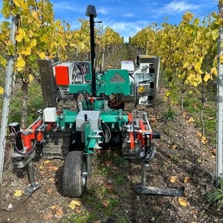 Dieser von Künstlicher Intelligenz gesteuerte Robotor soll in naher Zukunft die mühselige und gefährliche Arbeit im Steillagen-Weinbau an der Mosel erleichtern. 