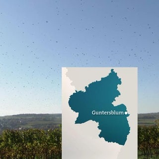 Rheinland-Pfalz Wetter vom 21.10.2024