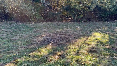 Dunkle Stellen im Gras markieren den Fundort der zwei Männerleichen, die am Rodder Maar verbrannt wurden