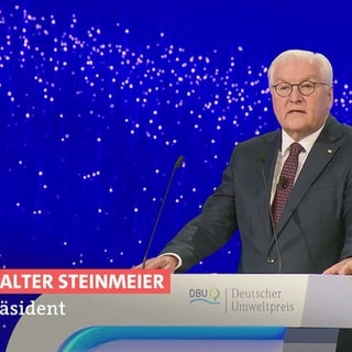 Frank-Walter Steinmeier