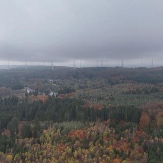 Ausblick auf eine Waldlandschaft in Bell